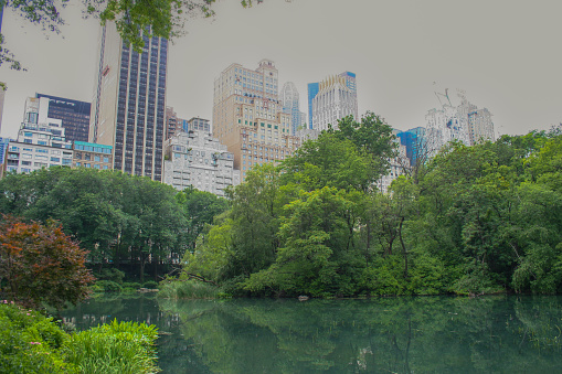 New York City, from Central Park.