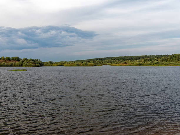 istock Forested river banks in summer 1755743960