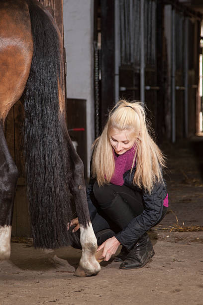 istock Girl brushes her pony 175575390