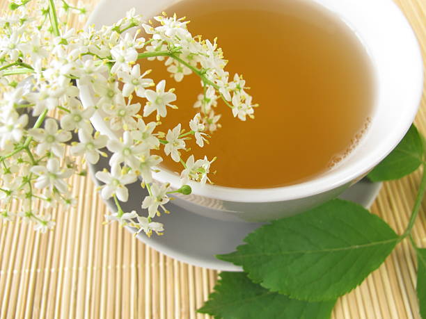 White tea with elderflower stock photo