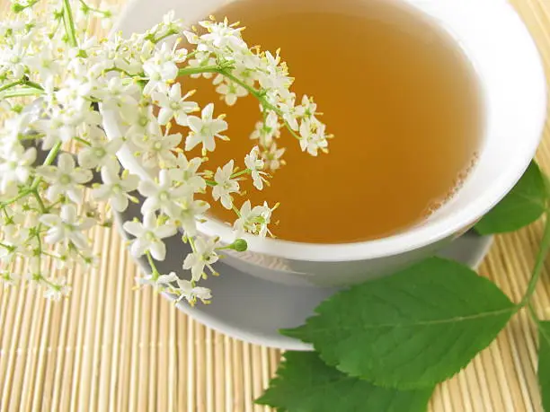 White tea with elderflower - Weißer Tee mit Holunderblüten