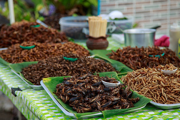 Fried insects stock photo