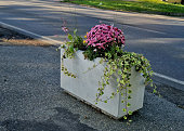 concrete flower pots form an obstacle at the crossing near the school. it is stuck with a reflective sticker. there must be flowers, November flowers around the nursery, orange, sidewalk
