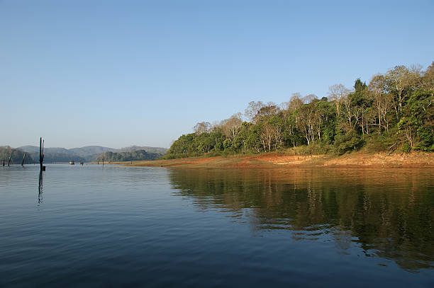 istock lake, Periyar National Park, Kerala, India 175580388