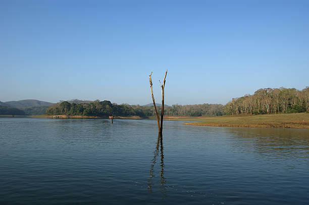 istock lake, Periyar National Park, Kerala, India 175580733