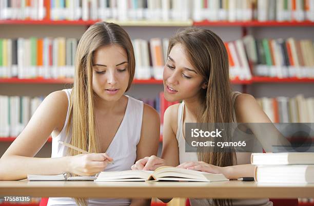 Conversation Stock Photo - Download Image Now - 20-24 Years, Adult, Adult Student