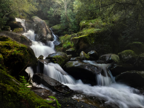 istock Beautiful Barosa River in Galicia, Spain. 1755822467