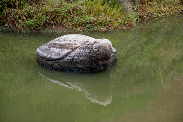 There are many boulders in Denmark but there are no bedrock - they have alle been transported by the ice during the ice ages. The picture is taken at Kalvebod Fælled - Kalvebod Commons, which is a nature area and public park close to the center of Copenhagen. It is a very low and flat area where there always is standing a lot of water in puddles due to the high level of groundwater
