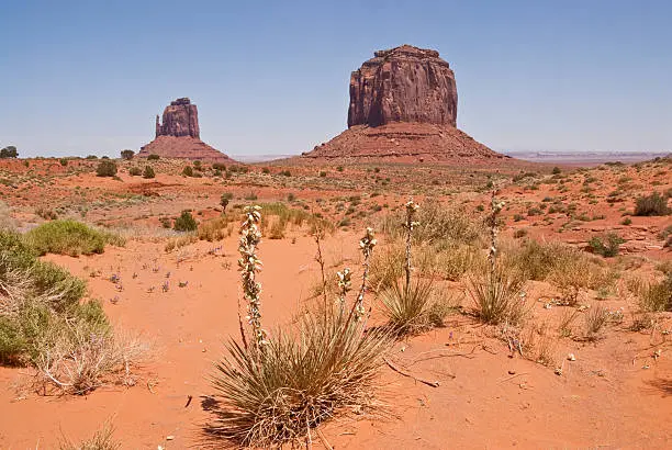 Located on the Arizona/Utah border at an elevation of 5200 feet, Monument Valley is filled with unique sandstone formations. This scene is of the iconic East Mitten and Merrick Butte. Monument Valley Tribal is located near Oljato, Utah, USA.