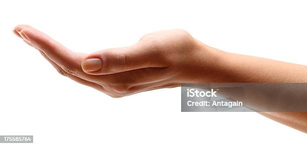 Hand Open Stock Photo - Download Image Now - Cut Out, Hands Cupped, Palm of Hand