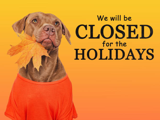 istock Signboard with the inscription We will be closed on Thanksgiving 1755857956