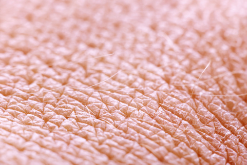 Extreme close up of human skin - female over hand wrist skin