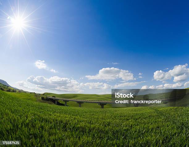 Photo libre de droit de Majestueux De Blé En Toscane Paysage Vert banque d'images et plus d'images libres de droit de Arbre - Arbre, Blé, Champ