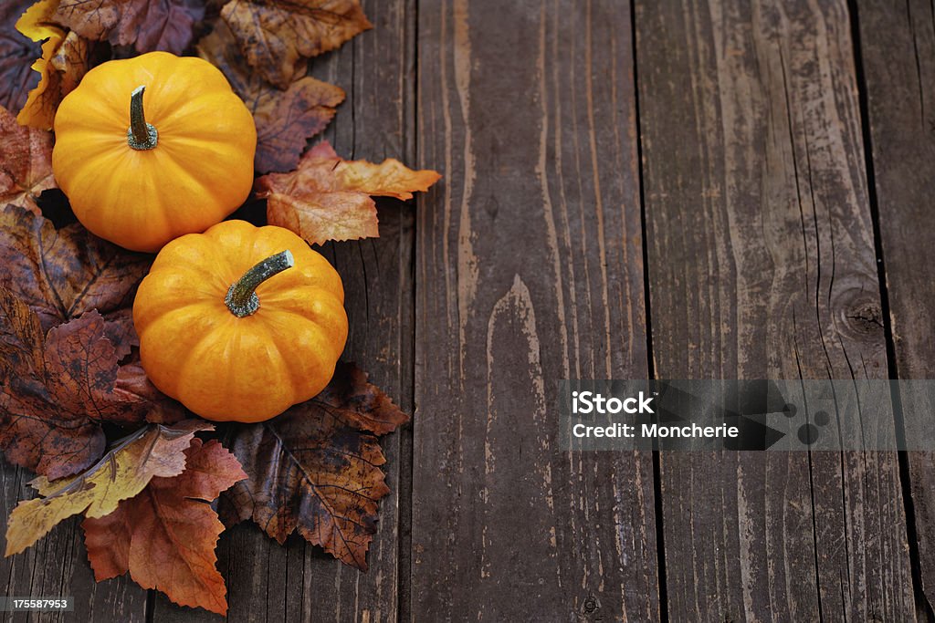 Autumn decoration Pumpkin Stock Photo