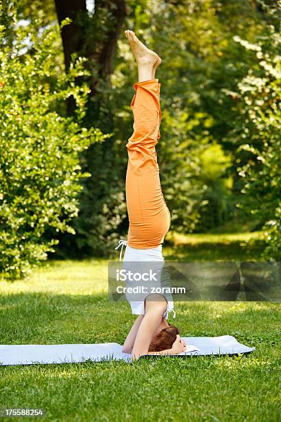 Posición Del Pino Foto de stock y más banco de imágenes de Actividades y técnicas de relajación - Actividades y técnicas de relajación, Adulto, Adulto joven