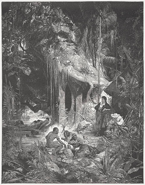 humboldt w orinoco w 1800 - orinoco river stock illustrations