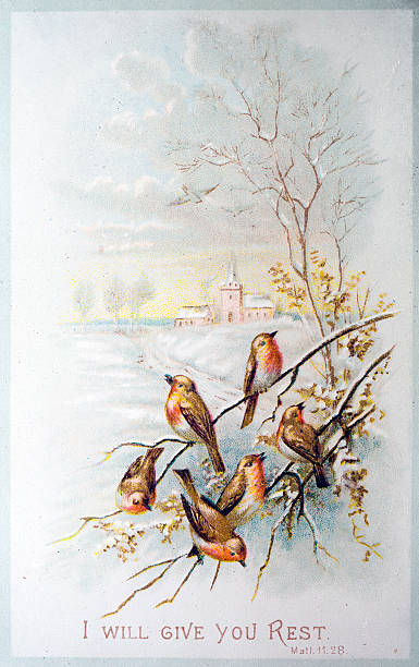 Old Victorian Christmas Card - Robins in the Snow