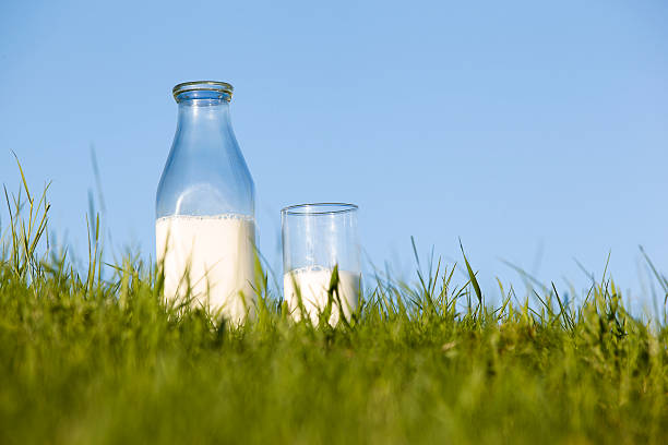 flasche und glas milch im gras - milk milk bottle bottle glass stock-fotos und bilder