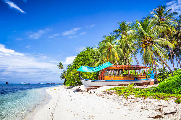 istock Natural Beach on Local Island Dangheti / Maldives 175588656