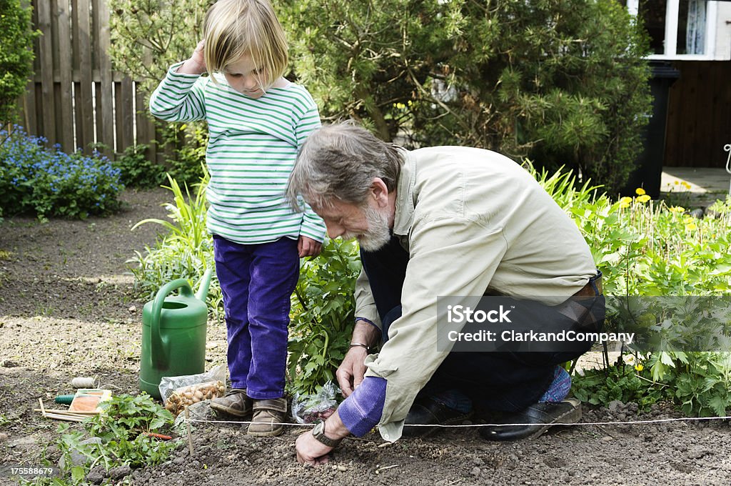 Avô e netos Jardinagem juntos. - Royalty-free Dividir Foto de stock