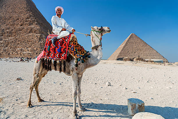 beduino con camellos - camel ride fotografías e imágenes de stock