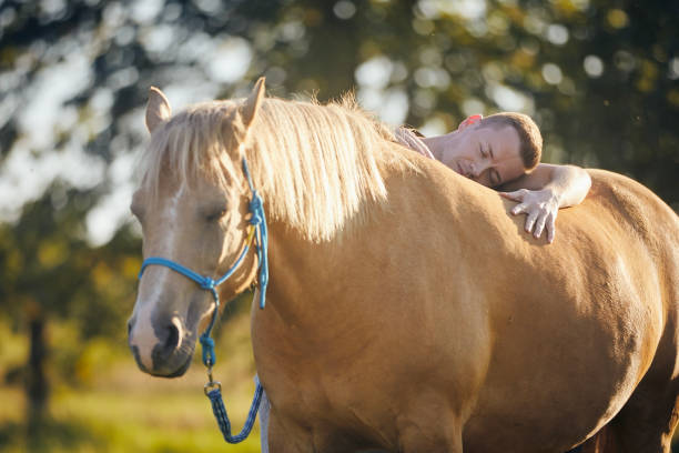 istock Man embracing of therapy horse 1755901894
