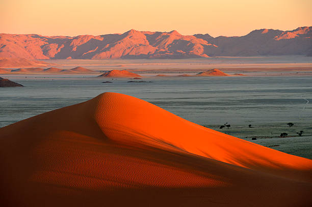 dune ridge dans les derniers rayons du soleil - steiner photos et images de collection