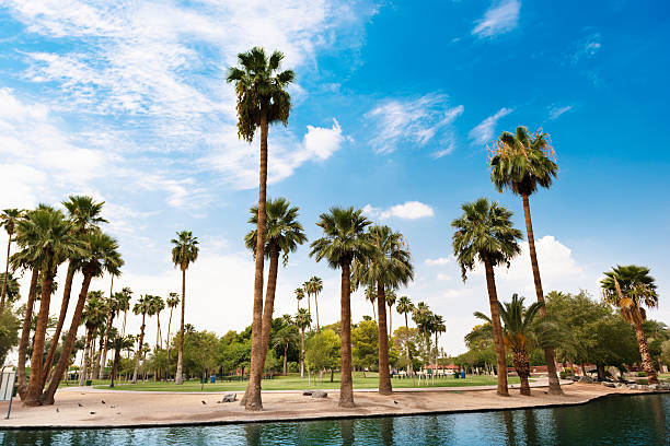 istock Park in Phoenix - Arizona 175590296