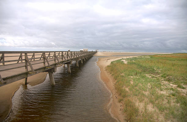 holz-walking-pfad - beach boardwalk grass marram grass stock-fotos und bilder