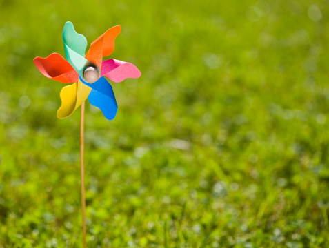 colorful pinwheel lies on a lawn