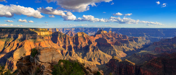 istock Grand Canyon North Rim 1755914786