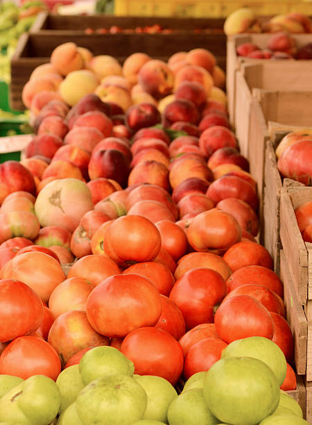 istock Farm Fresh Tomatoes and Peaches 175591579