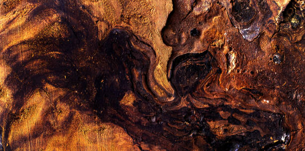 Beautiful wood grain. Wood background. Wood grain pattern texture background