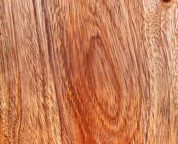 istock Beautiful wood grain. Wood background. Wood grain pattern texture background 1755916480