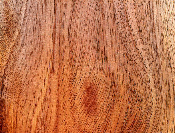 istock Beautiful wood grain. Wood background. Wood grain pattern texture background 1755917045