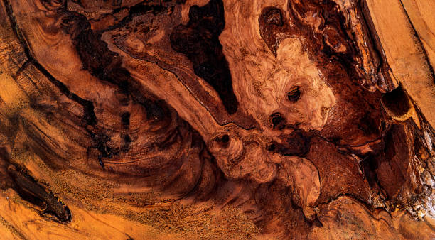istock Beautiful wood grain. Wood background. Wood grain pattern texture background 1755917053