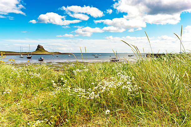 Lindisfarne "A view to Lindisfarne Castle on Holy Isle in Northumberland, England against a polarised summer sky with headland and boats in the foreground." farne islands stock pictures, royalty-free photos & images
