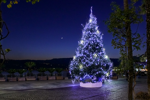 a bright Christmas tree in a night city on the lake shore illuminates the square against the background of the night sky with a moon in the shape of a month
