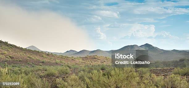 Sonorawüste Dust Storm Stockfoto und mehr Bilder von Anhöhe - Anhöhe, Arizona, Bildschärfe
