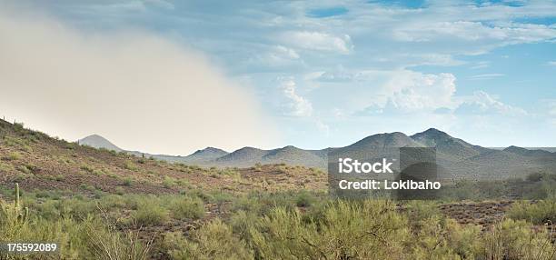 Desierto De Sonora Vendaval De Polvo Foto de stock y más banco de imágenes de Acercarse - Acercarse, Aire libre, Arizona