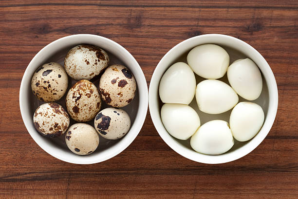 Quail eggs Top view of two bowls with quail eggs. Raw on the left, boiled on the right for food processing concept quail egg stock pictures, royalty-free photos & images