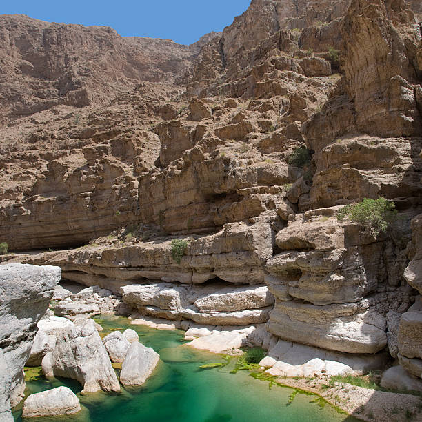 wadi - wadi bani khalid стоковые фото и изображения