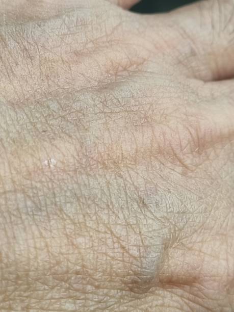 foto ravvicinata della pelle sul dorso di una mano umana - human skin female wrinkled women foto e immagini stock
