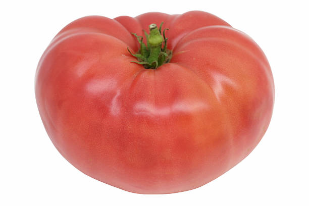 토마토색 - tomato beefsteak tomato heirloom tomato pink 뉴스 사진 이미지