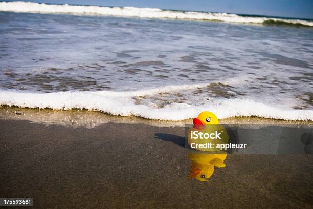 Perdido Foto de stock y más banco de imágenes de Pato de Juguete - Pato de Juguete, Mar, Amarillo - Color