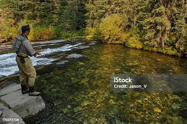 Fly Fishermen And Waterfall Stock Photo - Download Image Now - Fishing, River, Alberta