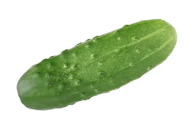 Green cucumber isolated on white.