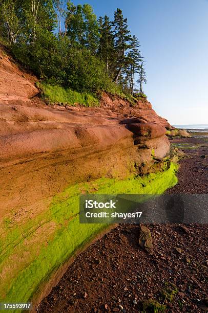 Low Tide Coastline Stock Photo - Download Image Now - Algae, At The Bottom Of, Bay Of Fundy