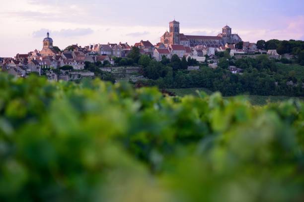 vézélay em burgundy, frança - nave - fotografias e filmes do acervo