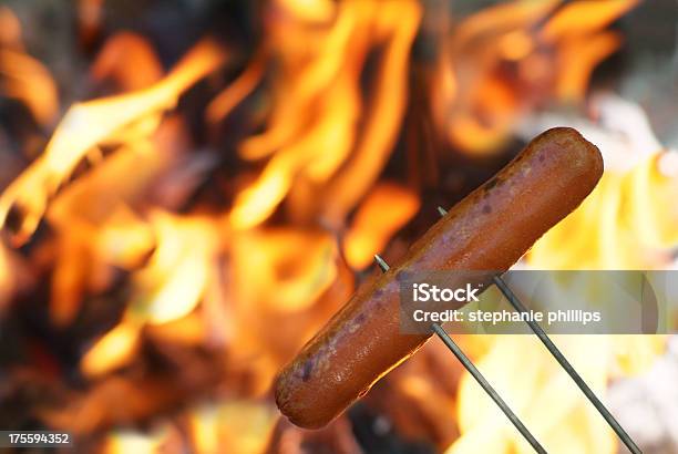 Hot Dog Stock Photo - Download Image Now - Camping, Fire - Natural Phenomenon, Hot Dog